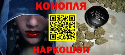 крисы Нальчик