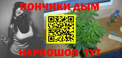 крисы Нальчик